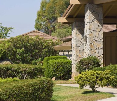 A house with bushes and trees in the front yard.