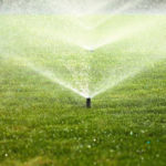 A lawn sprinkled with water from a sprinkler system.