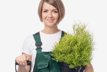 A woman holding a plant and a pair of scissors.