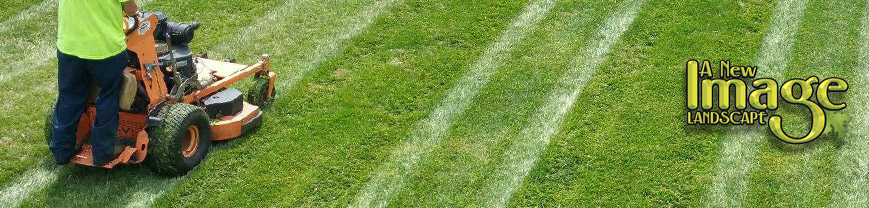 A close up of the grass with white lines on it