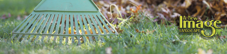 A green rake sitting in the grass next to some leaves.