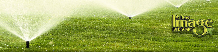 A lawn with grass and water spraying from it.