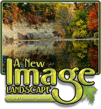 A new image landscape logo with autumn trees and water