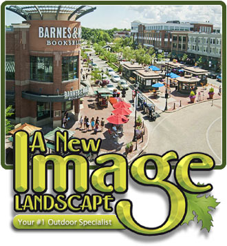 A new image landscape is an interactive photo gallery.